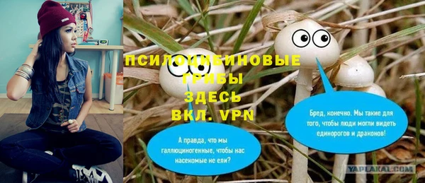 spice Армянск