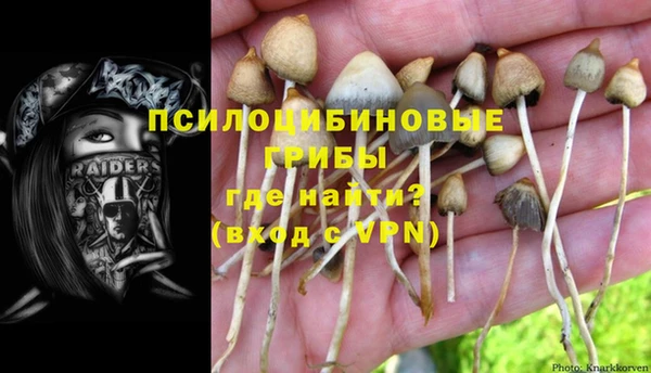 бутират Аркадак